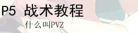 什么叫PVZ